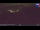 Webcam on mount Kronplatz, 0 mi away