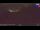 Webcam on mount Kronplatz, 0 mi away