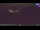 Webcam on mount Kronplatz, 0 mi away