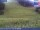 Webcam sur le Plan de Corones, 2 km