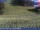 Webcam sul Plan de Corones, 3.9 km