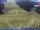 Webcam on mount Kronplatz, 0.1 mi away
