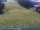 Webcam sur le Plan de Corones, 0.8 km