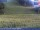 Webcam on mount Kronplatz, 0 mi away