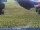 Webcam on mount Kronplatz, 0 mi away