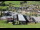 Webcam sur le Klausberg, 1.1 km