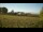 Webcam in Dartmoor, 29 km entfernt