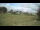 Webcam in Dartmoor, 11.4 mi away