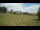 Webcam in Dartmoor, 11.6 mi away