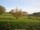 Webcam in Dartmoor, 7.4 km entfernt