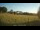 Webcam in Dartmoor, 29.4 km