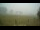 Webcam in Dartmoor, 2.9 mi away