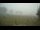 Webcam in Dartmoor, 11.2 mi away