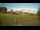 Webcam in Dartmoor, 11.2 mi away