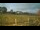Webcam in Dartmoor, 11.2 mi away