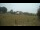 Webcam in Dartmoor, 13.5 mi away