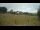 Webcam in Dartmoor, 11.4 mi away