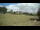 Webcam in Dartmoor, 28.9 km