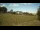 Webcam in Dartmoor, 13.6 mi away