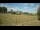 Webcam in Dartmoor, 35.3 km
