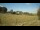 Webcam in Dartmoor, 35.3 km