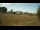 Webcam in Dartmoor, 11.2 mi away