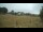 Webcam in Dartmoor, 11.4 mi away