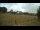 Webcam in Dartmoor, 11.4 mi away