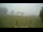 Webcam in Dartmoor, 11.2 mi away