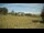 Webcam in Dartmoor, 17.1 mi away