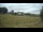 Webcam in Dartmoor, 11.2 mi away