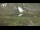 Webcam in Klausberg, 3 km