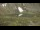 Webcam on mount Klausberg, 3.5 mi away