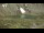 Webcam on mount Klausberg, 0.1 mi away