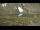 Webcam auf dem Klausberg, 1.4 km entfernt