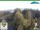 Webcam in Oberweißbach, 16.9 km