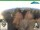 Webcam in Oberweißbach, 4.2 mi away
