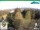 Webcam in Oberweißbach, 17.8 km entfernt