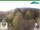 Webcam in Oberweißbach, 3.2 km entfernt