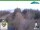Webcam in Oberweißbach, 14.2 km entfernt