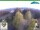Webcam in Oberweißbach, 1.2 mi away