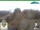Webcam in Oberweißbach, 6.8 mi away