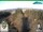 Webcam in Oberweißbach, 8.3 mi away