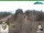 Webcam in Oberweißbach, 14.2 km entfernt