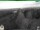 Webcam in Oberweißbach, 1.2 mi away