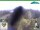 Webcam in Oberweißbach, 15.1 km entfernt