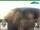 Webcam in Oberweißbach, 3.9 mi away