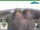 Webcam in Oberweißbach, 15.1 km