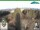 Webcam in Oberweißbach, 17.8 km entfernt