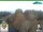 Webcam in Oberweißbach, 5.5 mi away